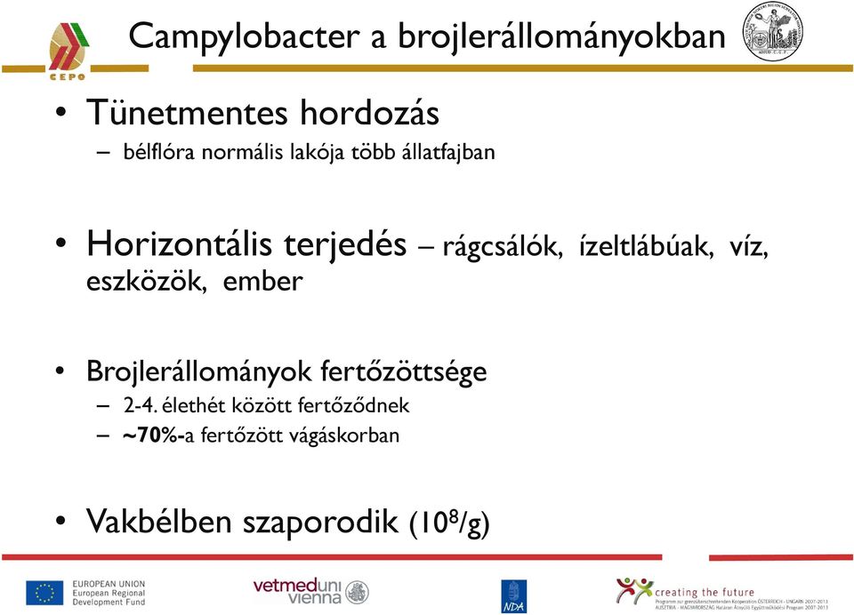 ízeltlábúak, víz, eszközök, ember Brojlerállományok fertőzöttsége 2-4.