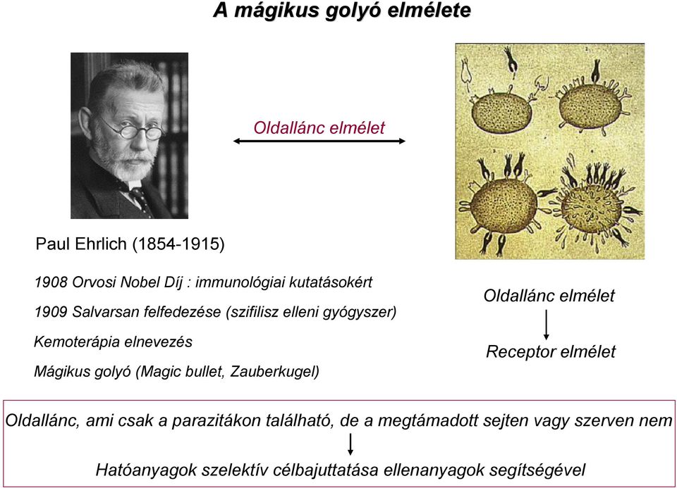 Mágikus golyó (Magic bullet, Zauberkugel) ldallánc elmélet Receptor elmélet ldallánc, ami csak a