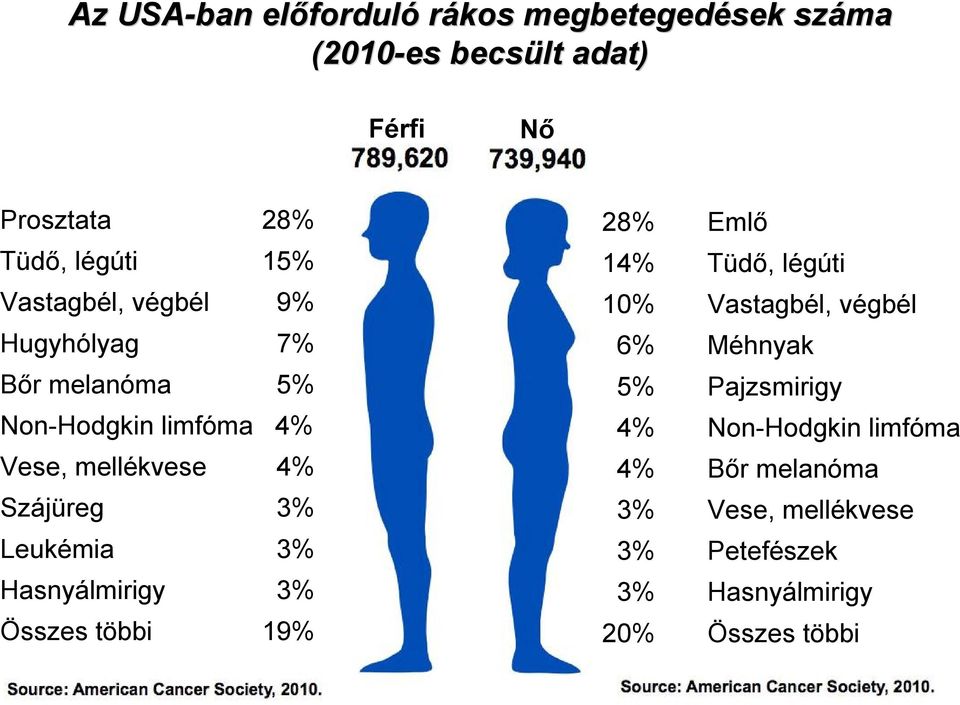 Szájüreg 3% Leukémia 3% Hasnyálmirigy 3% Összes többi 19% 28% Emlő 14% Tüdő, légúti 10% Vastagbél, végbél 6%