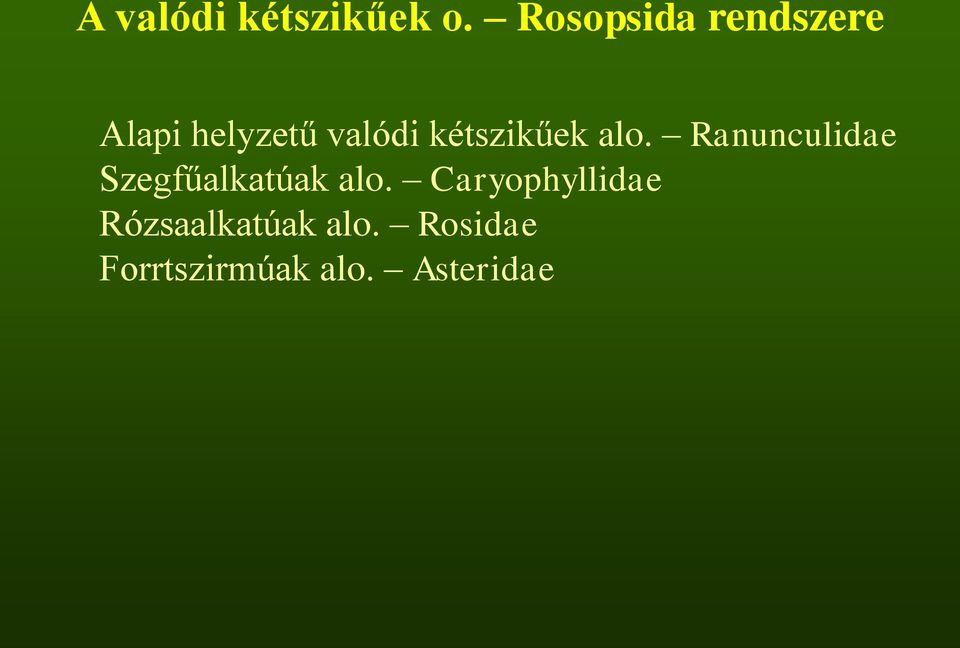 kétszikűek alo.