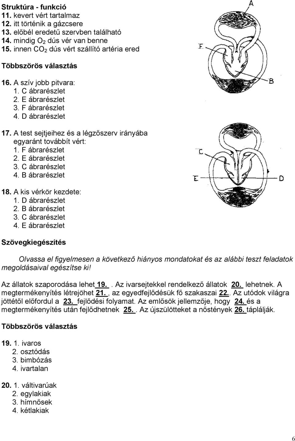 A test sejtjeihez és a légzőszerv irányába egyaránt továbbít vért: 1. F ábrarészlet 2. E ábrarészlet 3. C ábrarészlet 4. B ábrarészlet 18. A kis vérkör kezdete: 1. D ábrarészlet 2. B ábrarészlet 3.