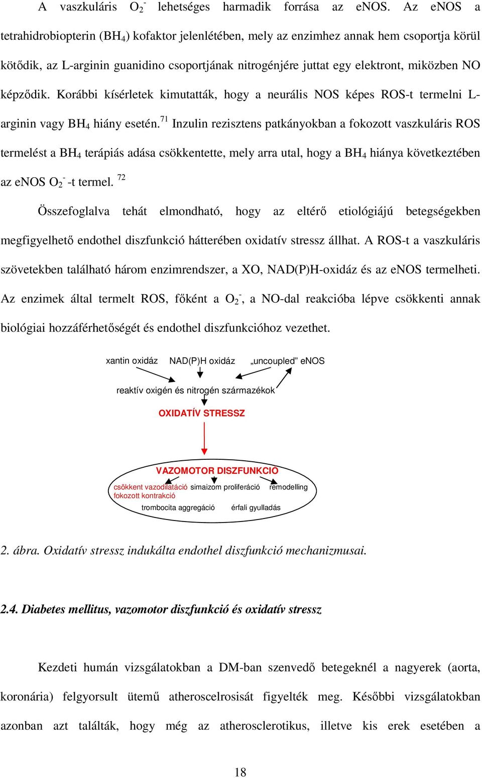képzıdik. Korábbi kísérletek kimutatták, hogy a neurális NOS képes ROS-t termelni L- arginin vagy BH 4 hiány esetén.