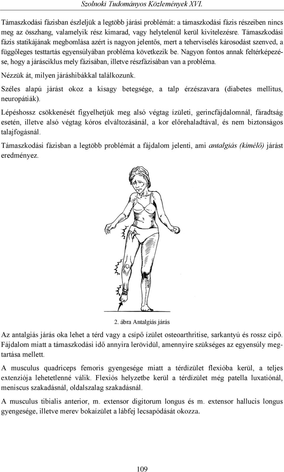 Nagyon fontos annak feltérképezése, hogy a járásciklus mely fázisában, illetve részfázisában van a probléma. Nézzük át, milyen járáshibákkal találkozunk.