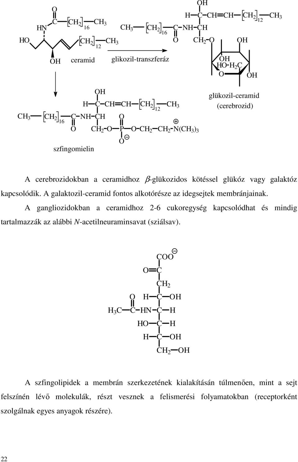 A gangliozidokban a ceramidhoz 2-6 cukoregység kapcsolódhat és mindig tartalmazzák az alábbi N-acetilneuraminsavat (sziálsav).
