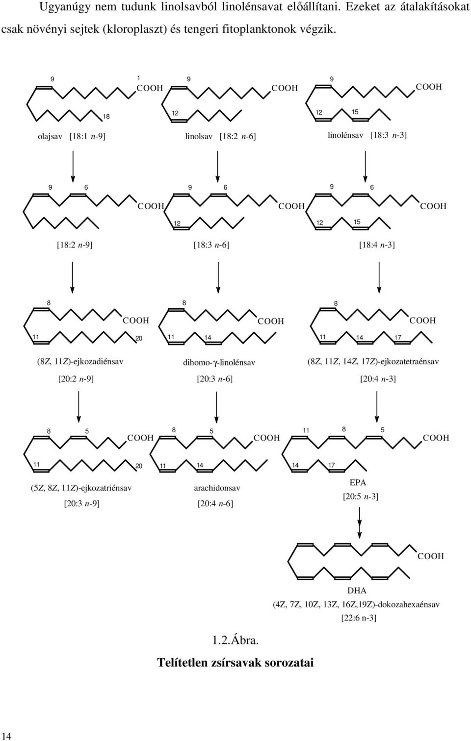 (8Z, Z)-ejkozadiénsav dihomo-γ-linolénsav (8Z, Z, 14Z, 17Z)-ejkozatetraénsav [20:2 n-9] [20:3 n-6] [20:4 n-3] 8 5 8 5 8 5 20 14 14 17 (5Z, 8Z,