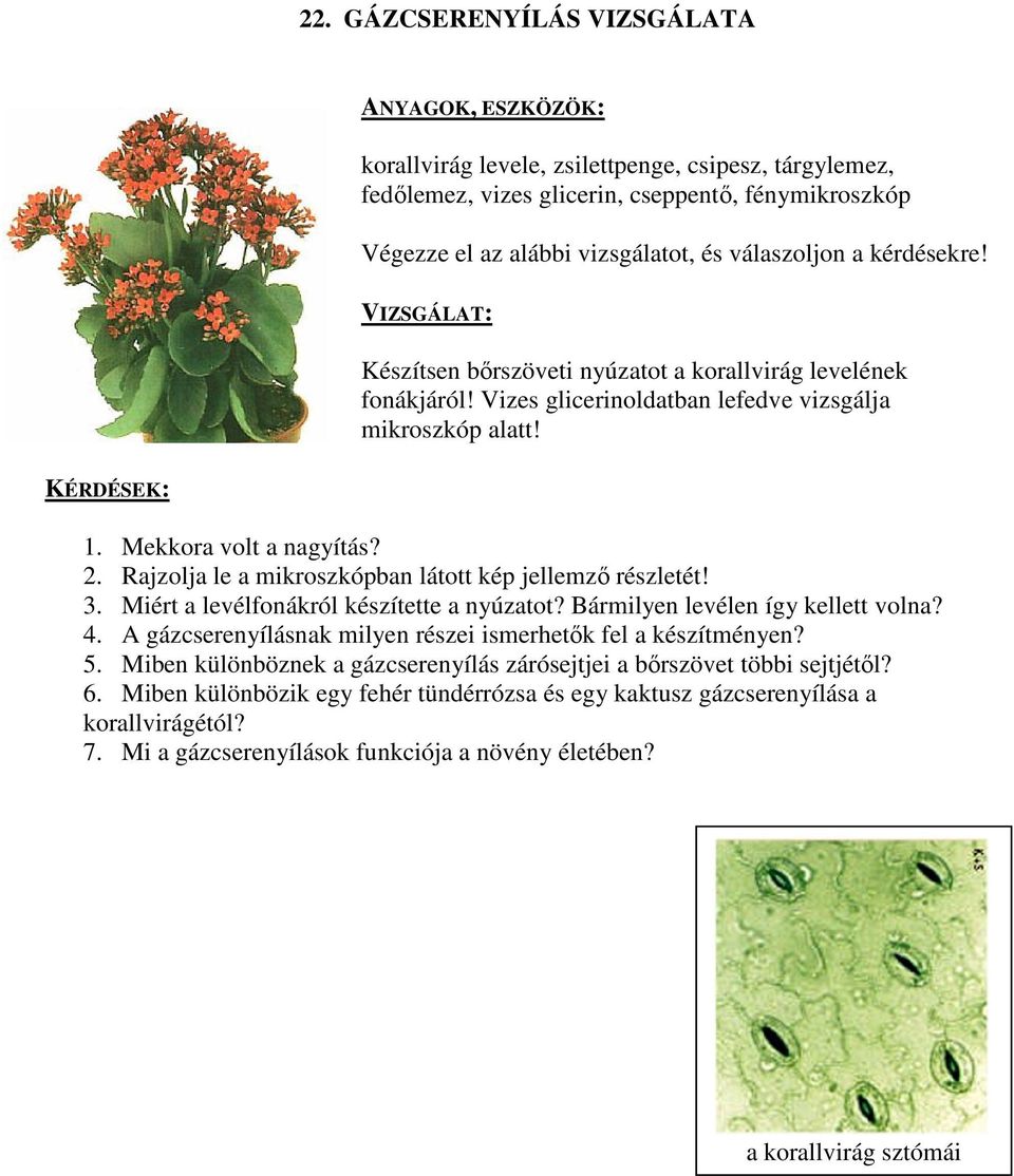 2. Rajzolja le a mikroszkópban látott kép jellemző részletét! 3. Miért a levélfonákról készítette a nyúzatot? Bármilyen levélen így kellett volna? 4.