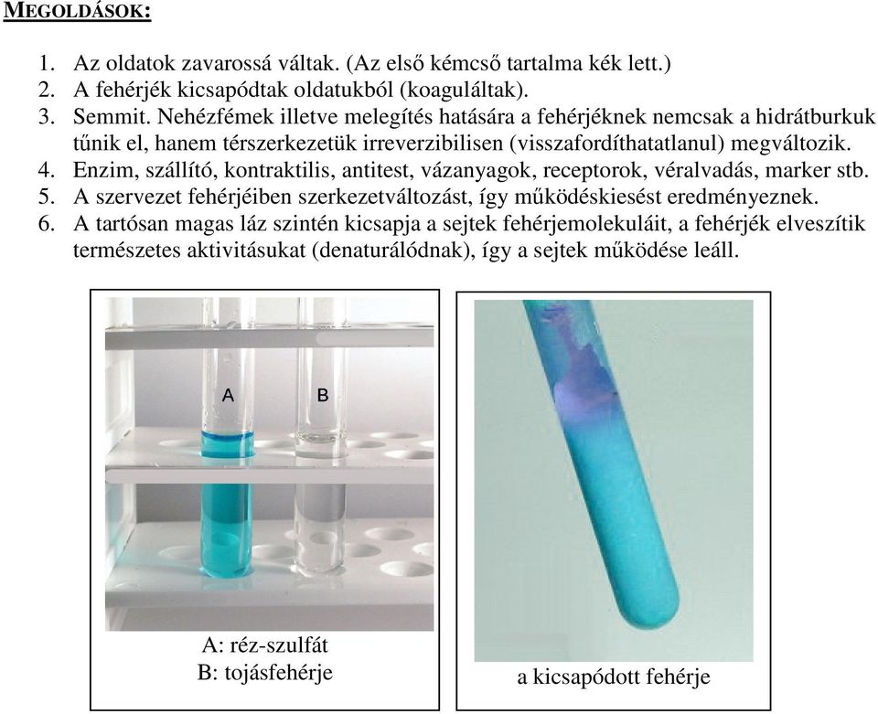 Enzim, szállító, kontraktilis, antitest, vázanyagok, receptorok, véralvadás, marker stb. 5. A szervezet fehérjéiben szerkezetváltozást, így működéskiesést eredményeznek. 6.