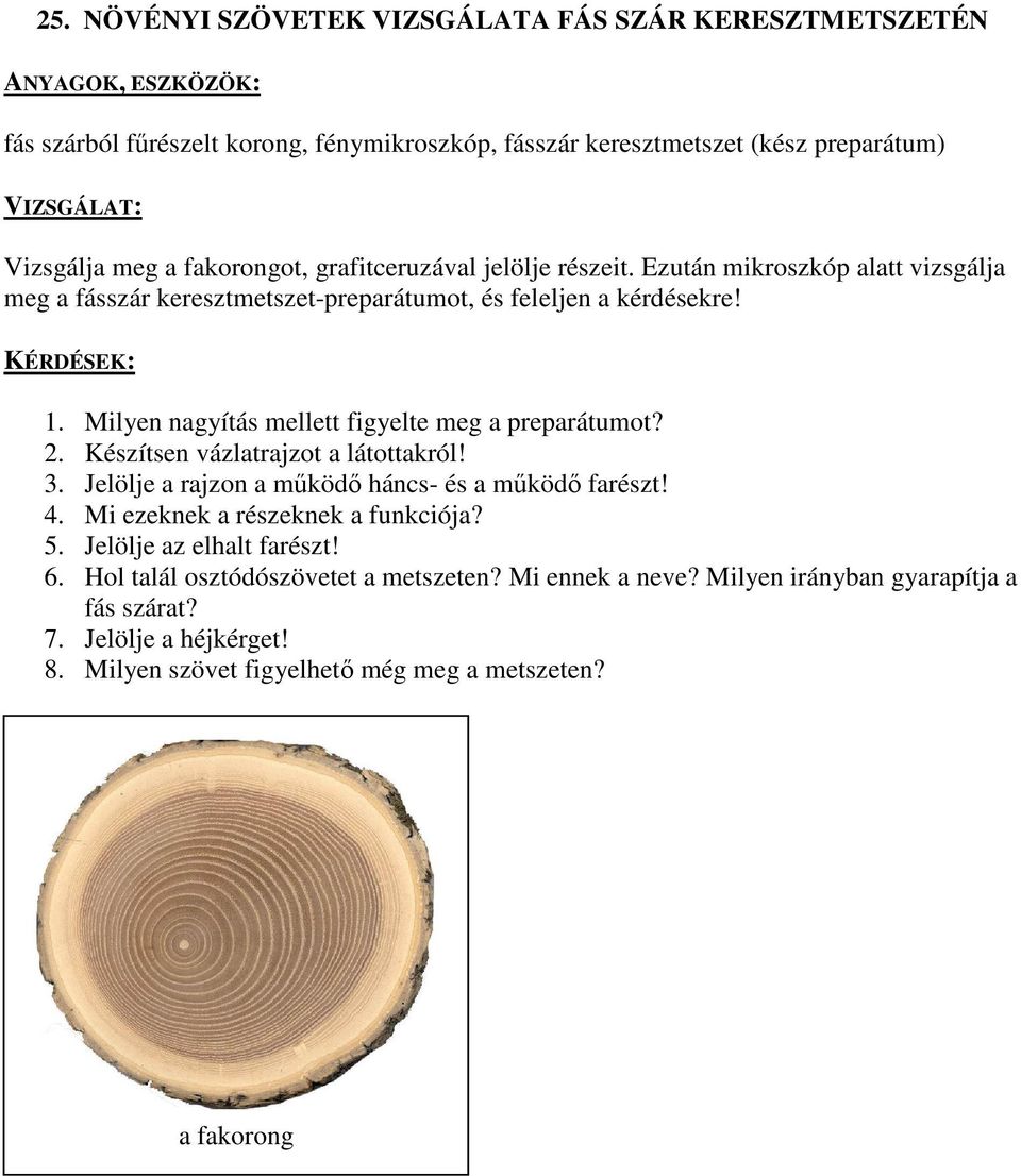 Milyen nagyítás mellett figyelte meg a preparátumot? 2. Készítsen vázlatrajzot a látottakról! 3. Jelölje a rajzon a működő háncs- és a működő farészt! 4. Mi ezeknek a részeknek a funkciója?