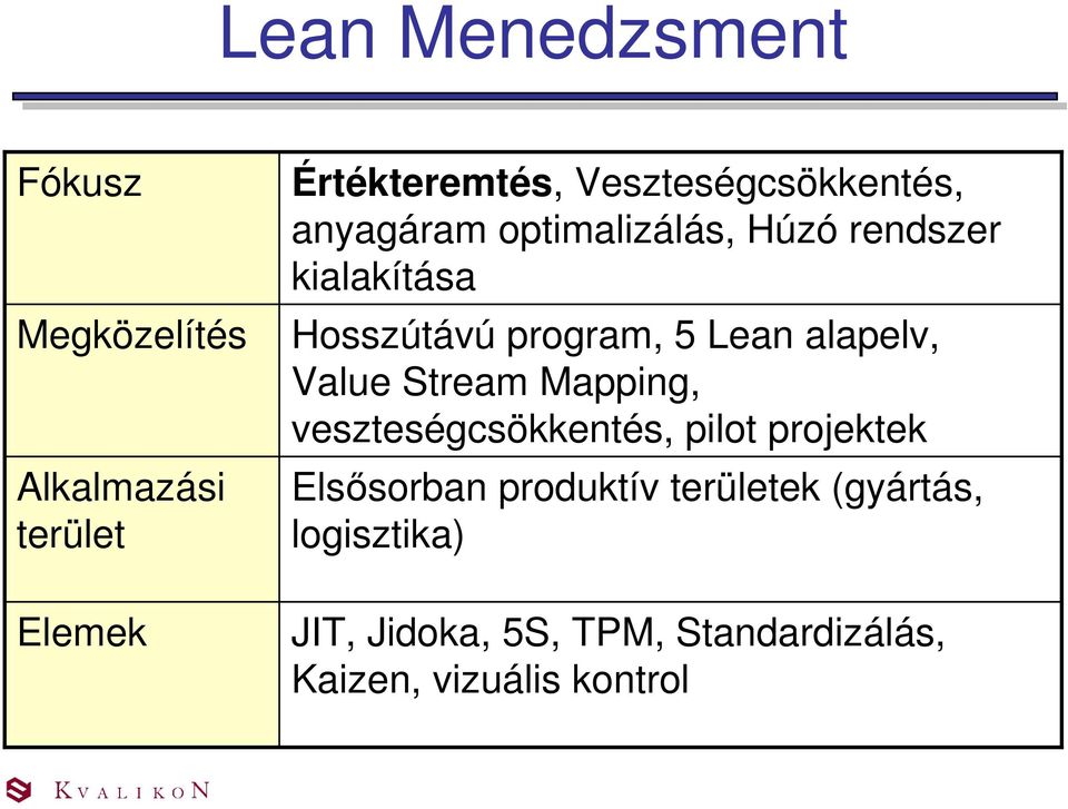 program, 5 Lean alapelv, Value Stream Mapping, veszteségcsökkentés, pilot projektek