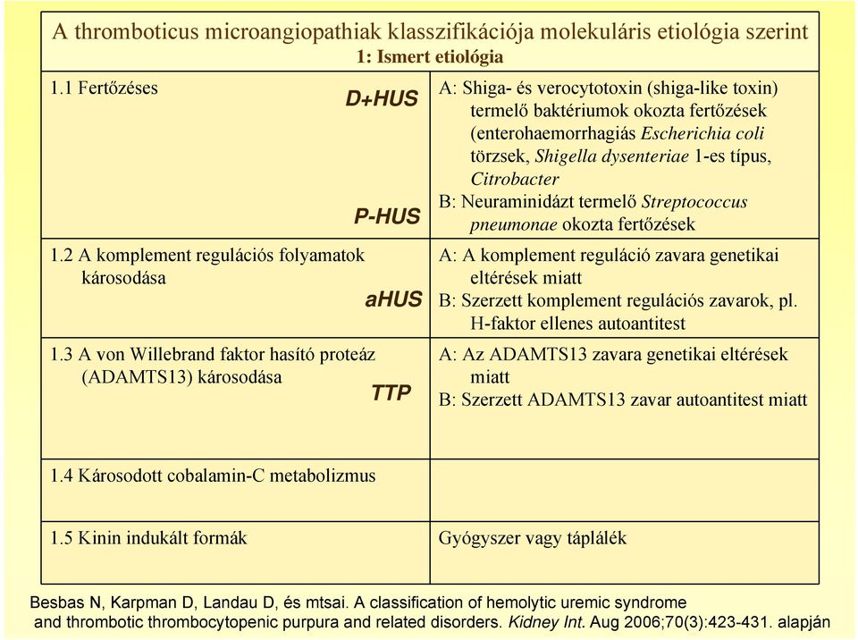 Neuraminidázt termelő Streptococcus P-HUS pneumonae okozta fertőzések 1.2 A komplement regulációs folyamatok károsodása ahus 1.