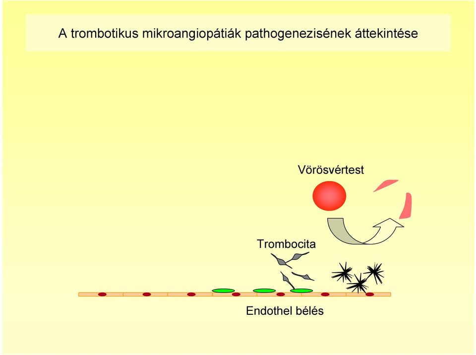 pathogenezisének