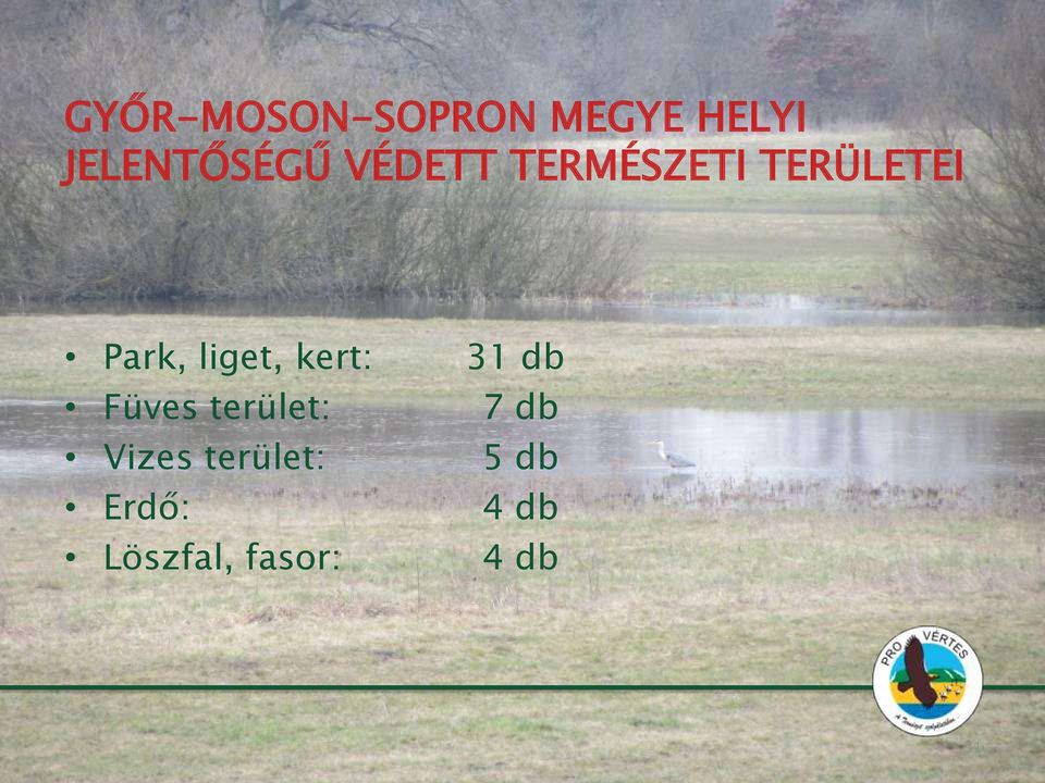 kert: 31 db Füves terület: 7 db Vizes