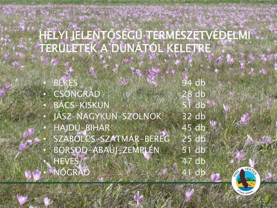 JÁSZ-NAGYKUN-SZOLNOK 32 db HAJDÚ-BIHAR 45 db