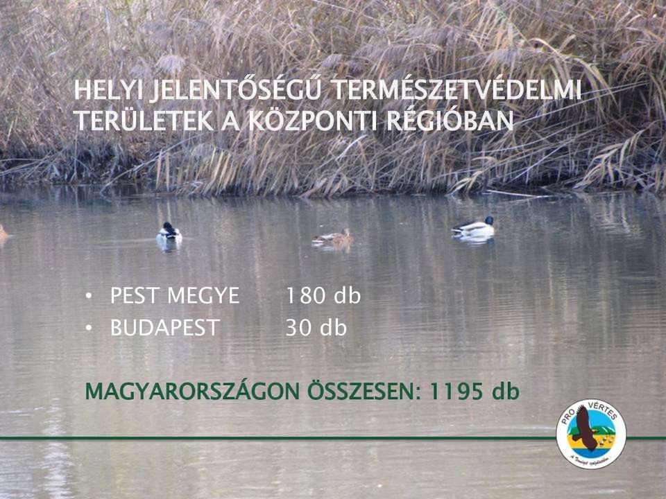 KÖZPONTI RÉGIÓBAN PEST MEGYE 180
