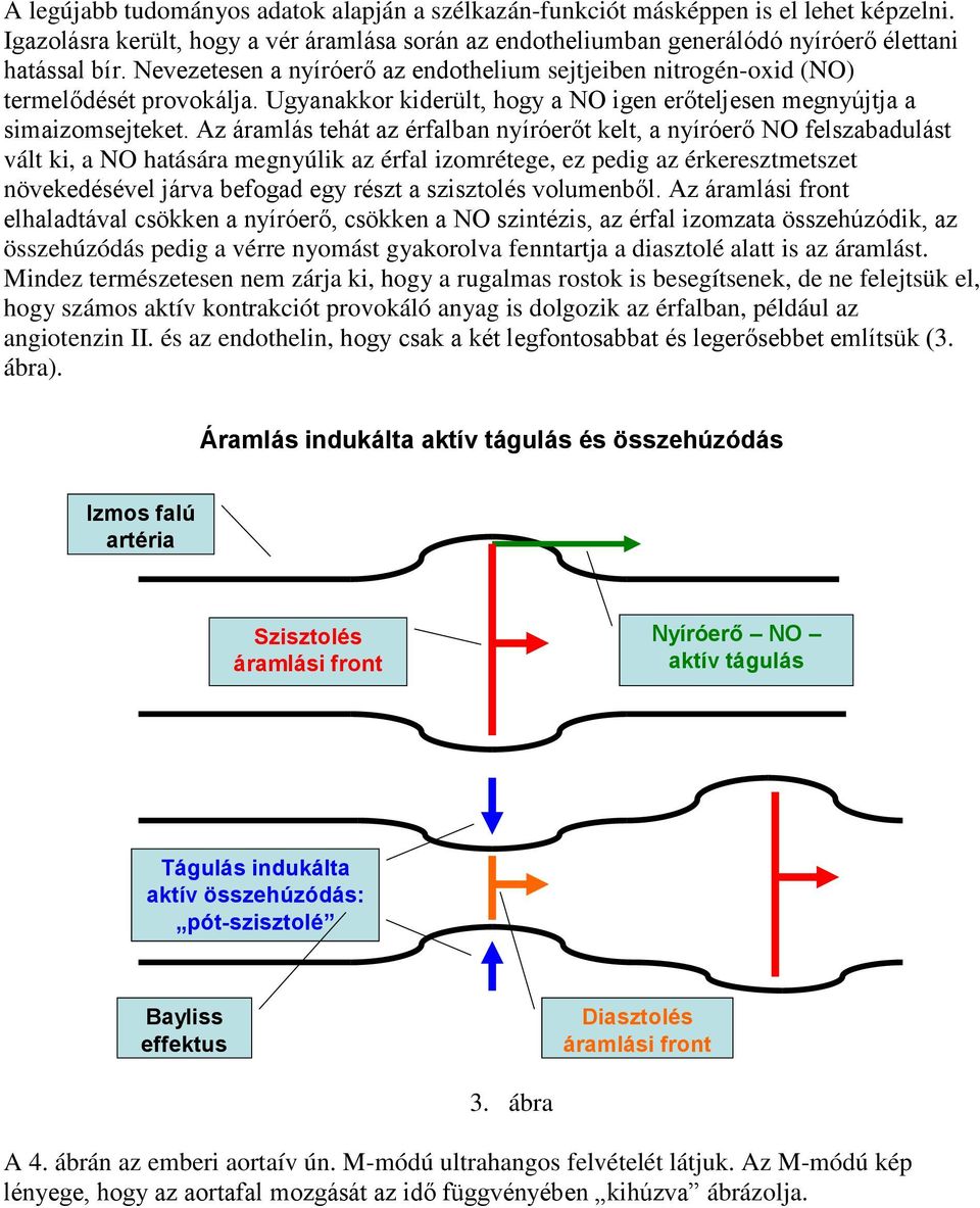 Az áramlás tehát az érfalban nyíróerőt kelt, a nyíróerő NO felszabadulást vált ki, a NO hatására megnyúlik az érfal izomrétege, ez pedig az érkeresztmetszet növekedésével járva befogad egy részt a