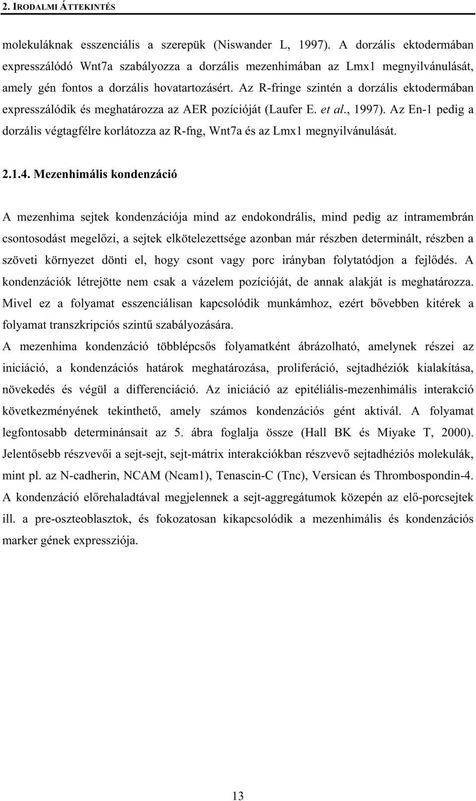 Az R-fringe szintén a dorzális ektodermában expresszálódik és meghatározza az AER pozícióját (Laufer E. et al., 1997).