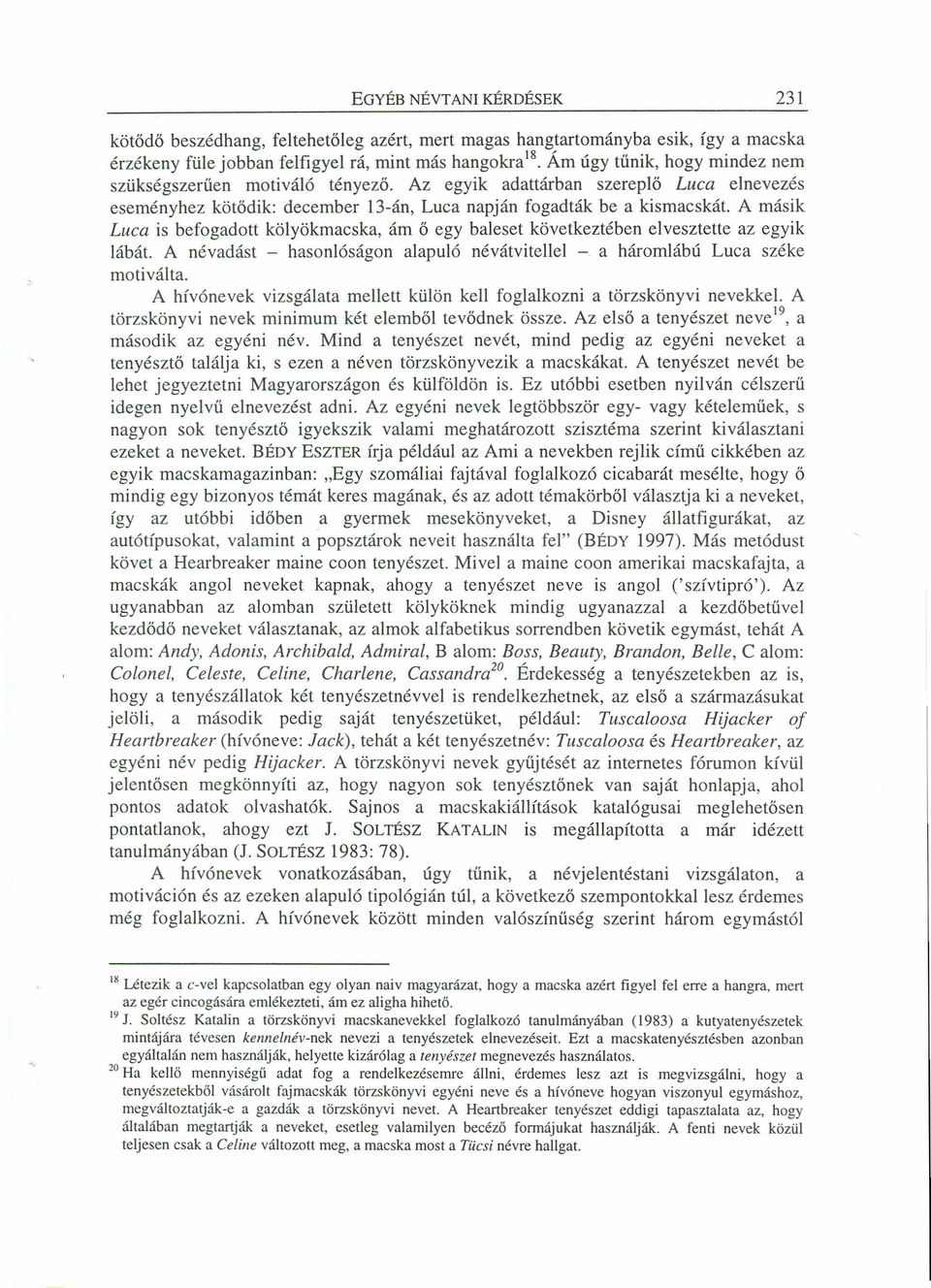 A másik Luca is befogadott kölyökmacska, ám ő egy baleset következtében elvesztette az egyik lábát. A névadást - hasonlóságon alapuló névátvitellel - a háromlábú Luca széke motiválta.