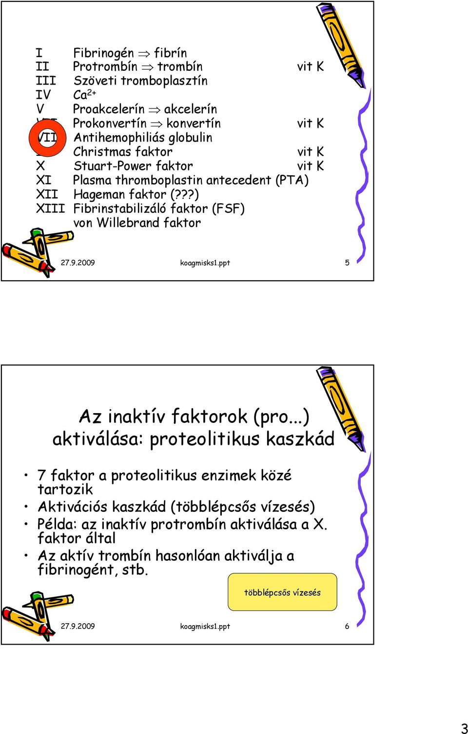 ??) XIII Fibrinstabilizáló faktor (FSF) von Willebrand faktor 27.9.2009 koagmisks1.ppt 5 Az inaktív faktorok (pro.