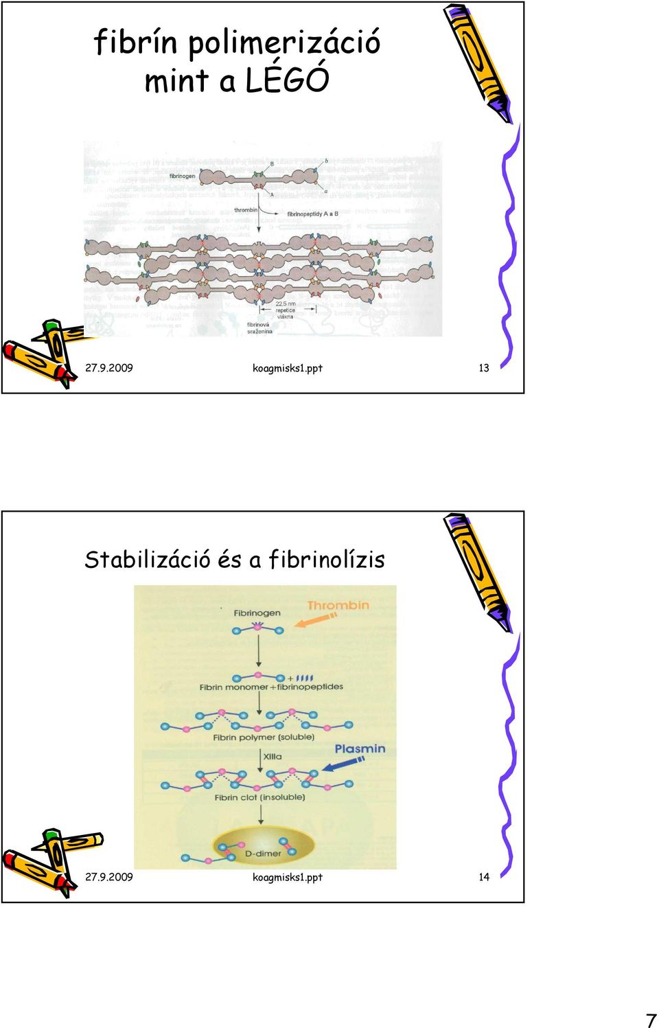 ppt 13 Stabilizáció és a