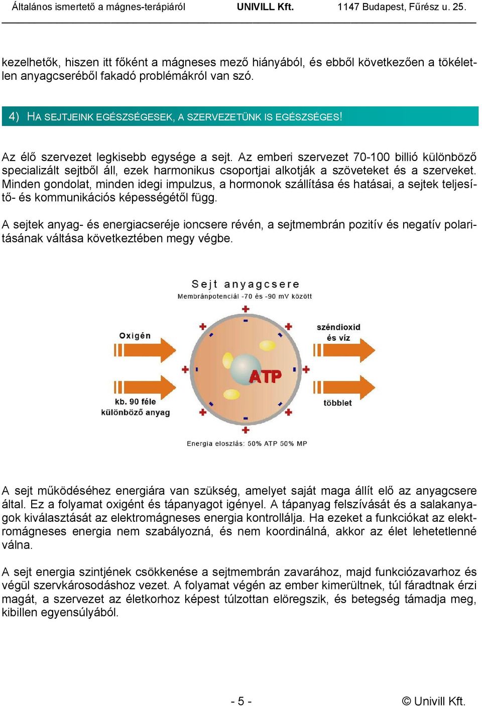 Minden gondolat, minden idegi impulzus, a hormonok szállítása és hatásai, a sejtek teljesítő- és kommunikációs képességétől függ.