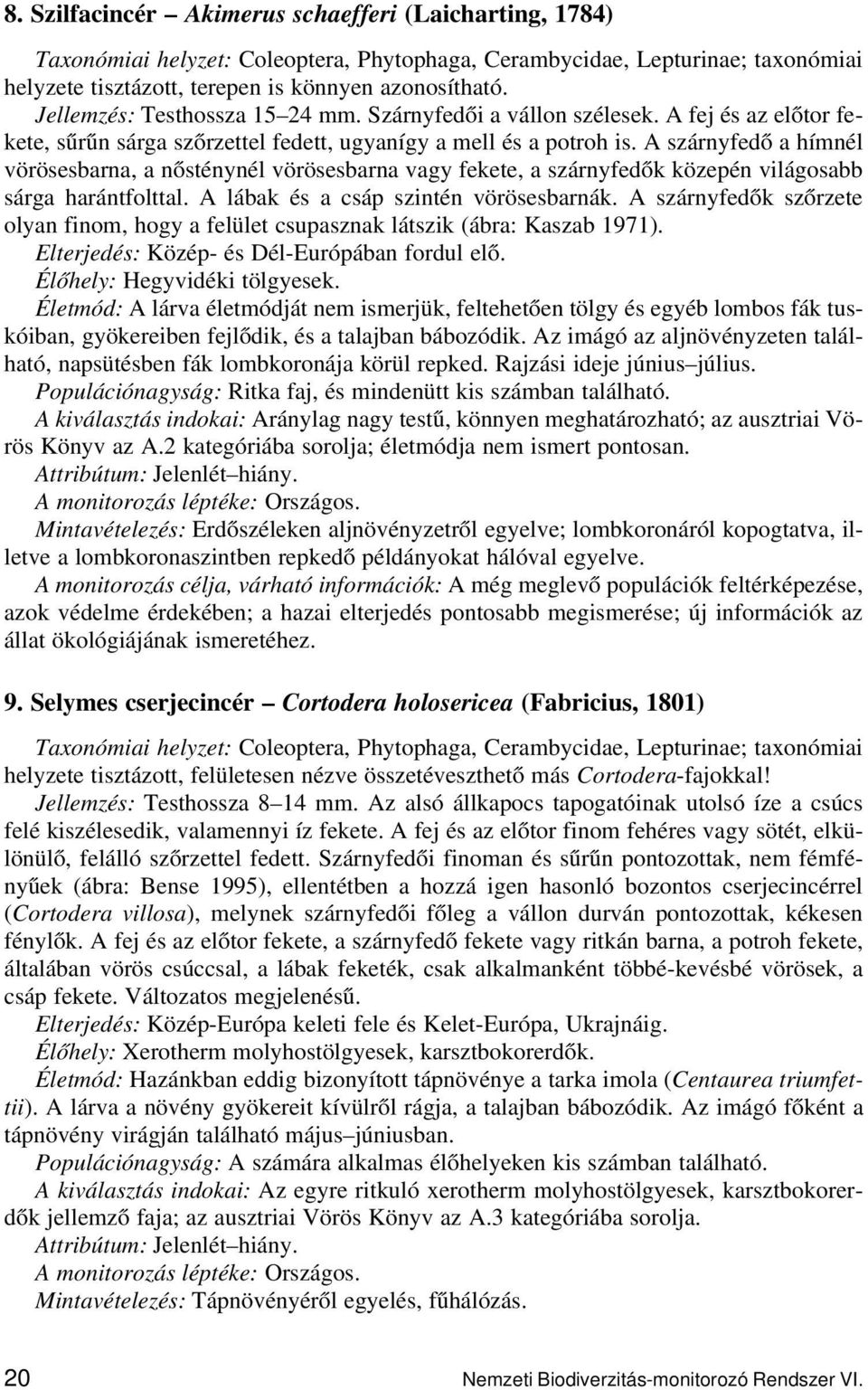 A szárnyfedő a hímnél vörösesbarna, a nősténynél vörösesbarna vagy fekete, a szárnyfedők közepén világosabb sárga harántfolttal. A lábak és a csáp szintén vörösesbarnák.