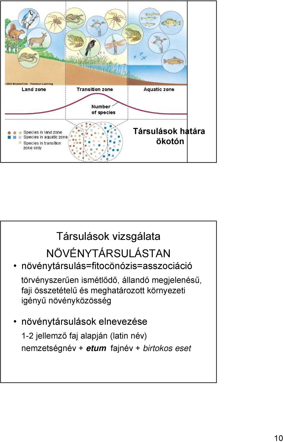 megjelenésű, faji összetételű és meghatározott környezeti igényű növényközösség