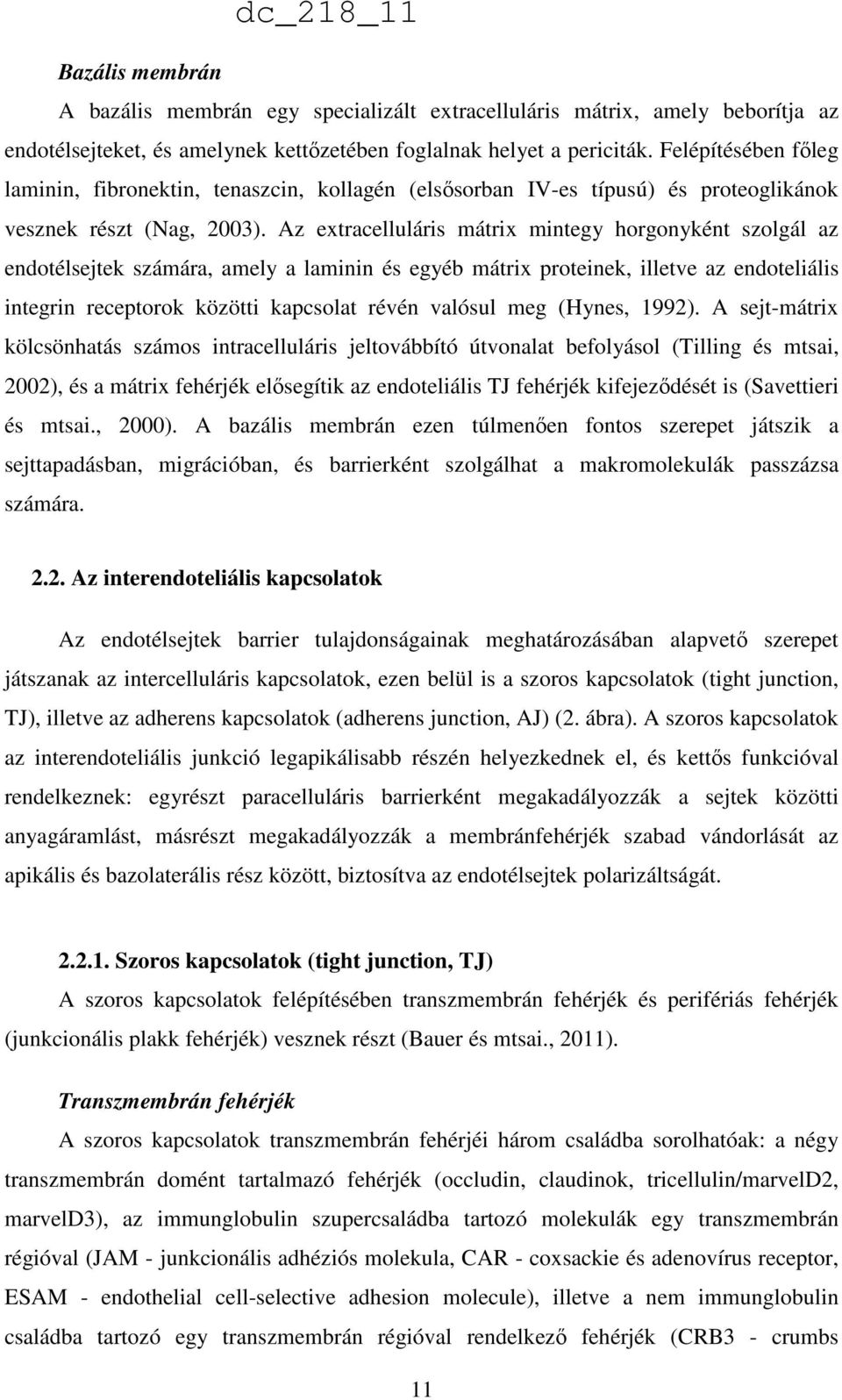 Az extracelluláris mátrix mintegy horgonyként szolgál az endotélsejtek számára, amely a laminin és egyéb mátrix proteinek, illetve az endoteliális integrin receptorok közötti kapcsolat révén valósul