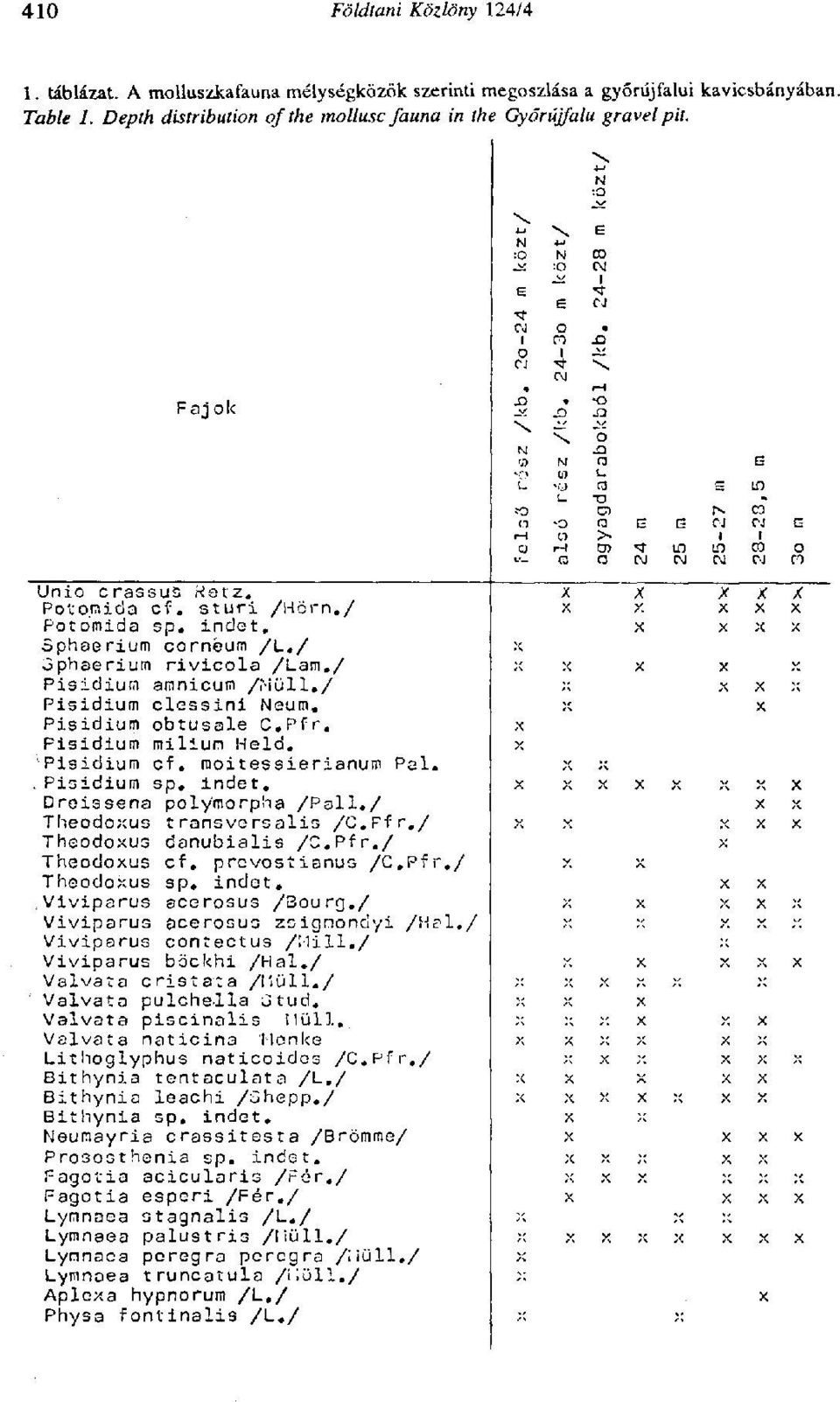 nicio cf. sturi /Hörn./ X X X X X Potomida sp. indet. X X X X Sphaerium cornéum /L./ X ophserium rivicola /Lam./ X X X X Pisidium amnicum /Müll./ X X Pisidium clessini Neum. X Pisidium obtusale C.Pfr.