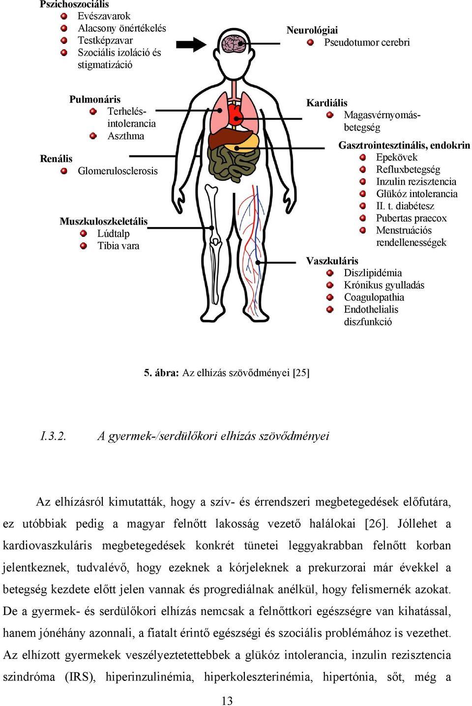 diabétesz Pubertas praecox Menstruációs rendellenességek Vaszkuláris Diszlipidémia Krónikus gyulladás Coagulopathia Endothelialis diszfunkció 5. ábra: Az elhízás szövődményei [25