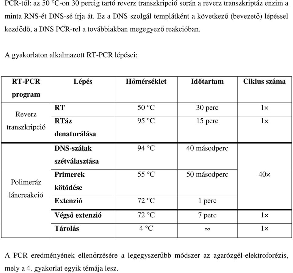 A gyakorlaton alkalmazott RT-PCR lépései: RT-PCR program Reverz transzkripció Polimeráz láncreakció Lépés Hőmérséklet Időtartam Ciklus száma RT 50 C 30 perc 1 RTáz 95 C 15 perc