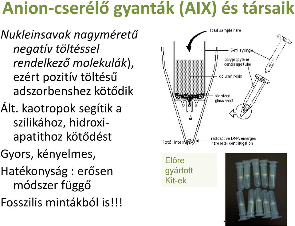 Ált. kaotropok segítik a szilikához, hidroxiapatithoz kötődést Gyors,