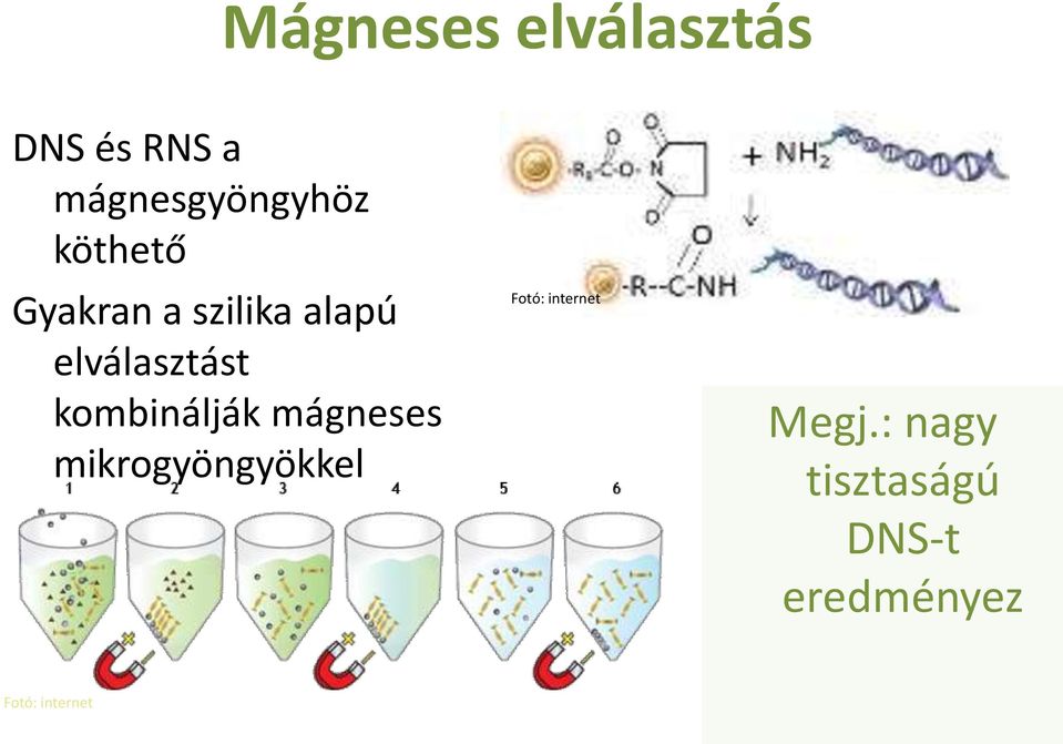 alapú elválasztást kombinálják mágneses