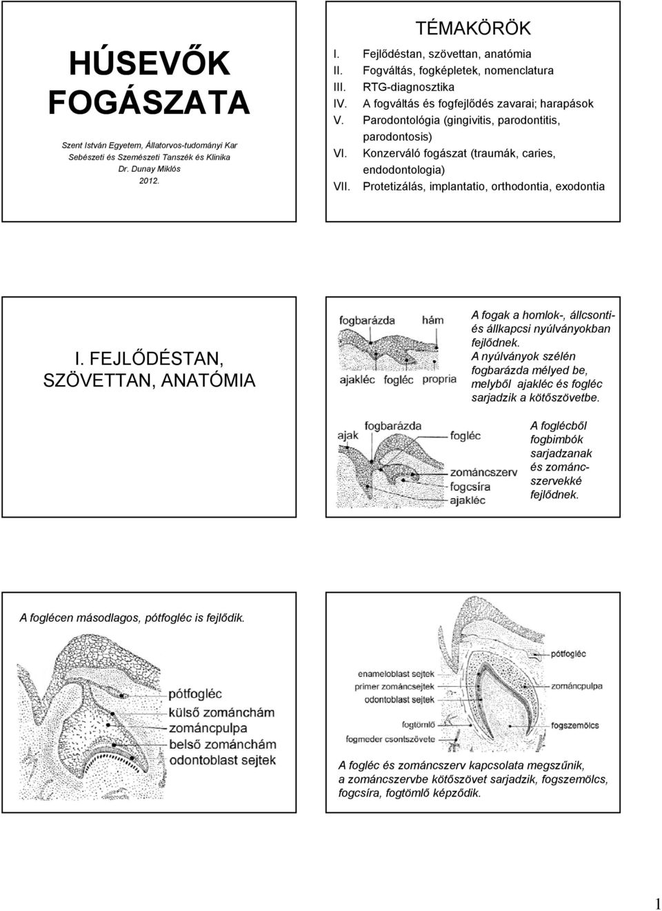 Konzerváló fogászat (traumák, caries, endodontologia) VII. Protetizálás, implantatio, orthodontia, exodontia I.