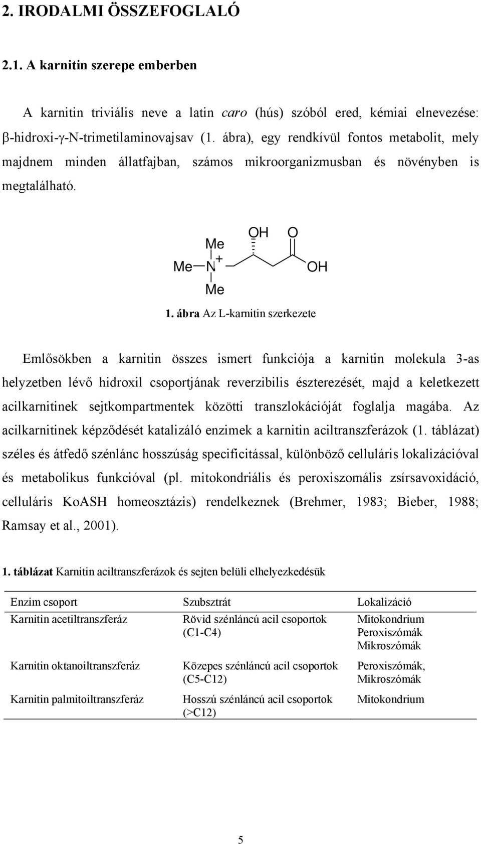 ábra Az L-karnitin szerkezete Emlősökben a karnitin összes ismert funkciója a karnitin molekula 3-as helyzetben lévő hidroxil csoportjának reverzibilis észterezését, majd a keletkezett acilkarnitinek
