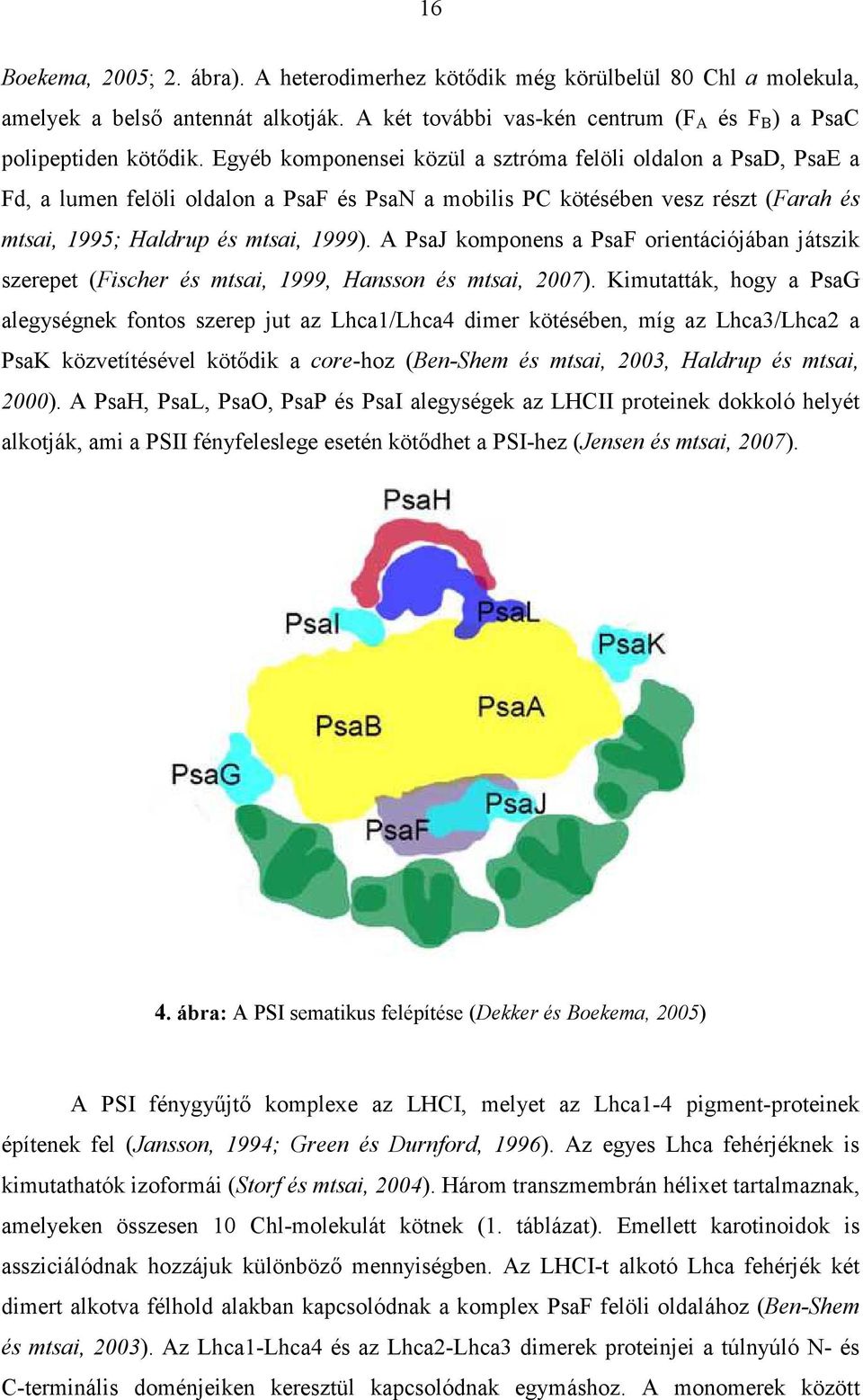 A PsaJ komponens a PsaF orientációjában játszik szerepet (Fischer és mtsai, 1999, Hansson és mtsai, 2007).