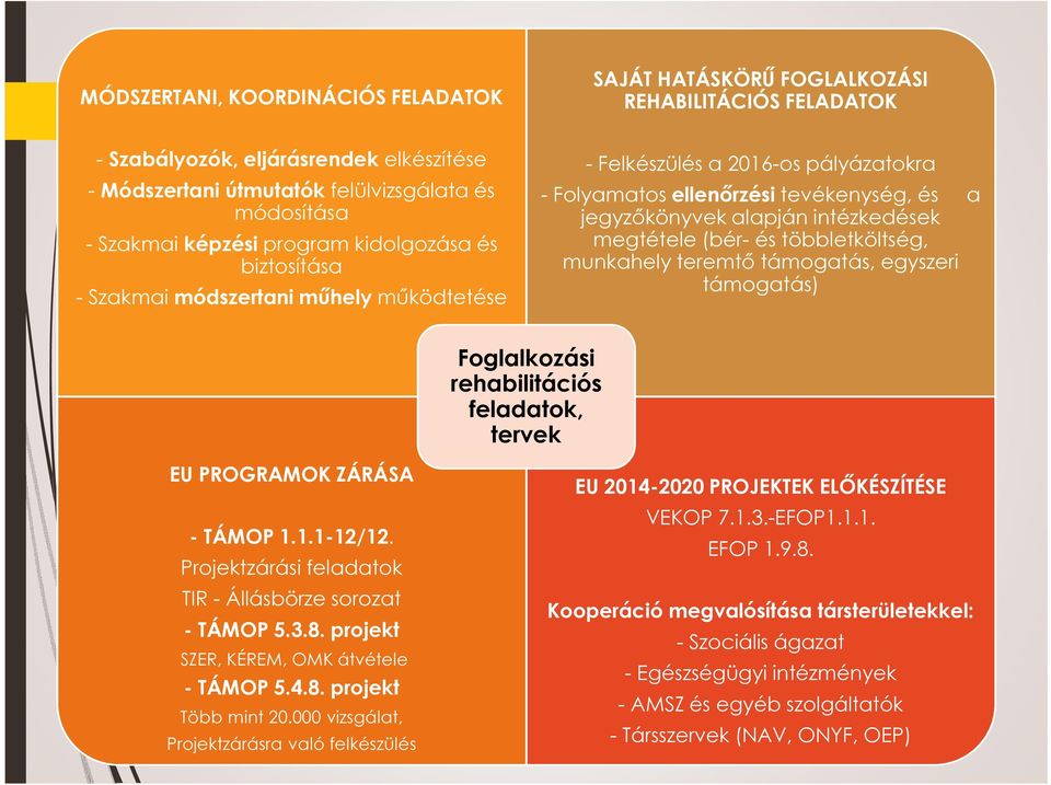 megtétele (bér- és többletköltség, munkahely teremtő támogatás, egyszeri támogatás) Foglalkozási rehabilitációs feladatok, tervek EU PROGRAMOK ZÁRÁSA - TÁMOP 1.1.1-12/12.