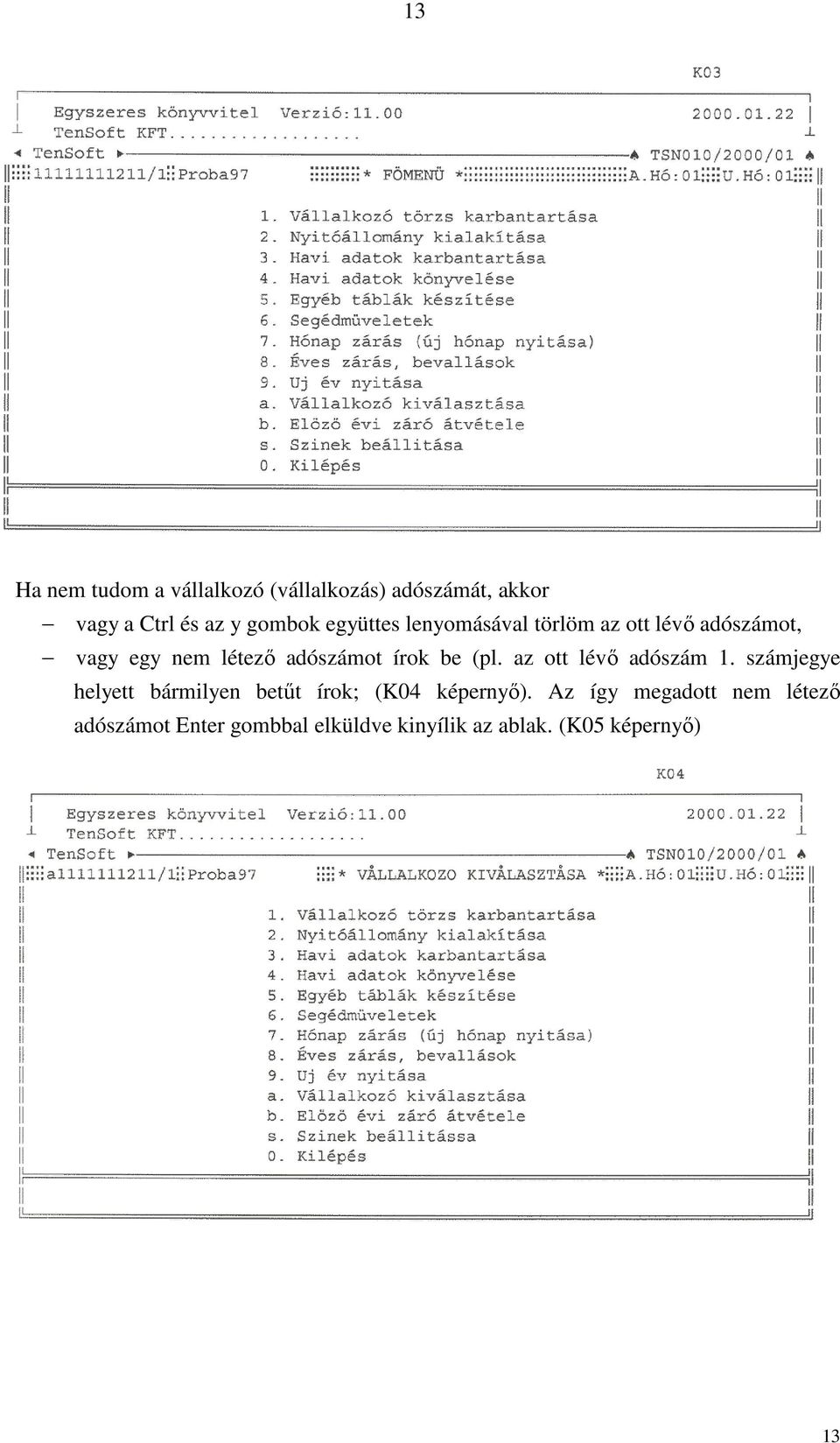 (pl. az ott lévő adószám 1. számjegye helyett bármilyen betűt írok; (K04 képernyő).