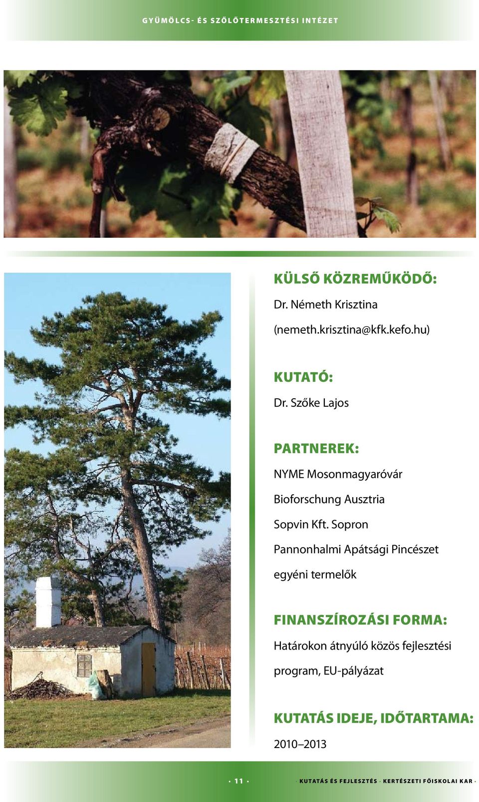 Sopron Pannonhalmi Apátsági Pincészet egyéni termelők Finanszírozási forma: Határokon átnyúló közös