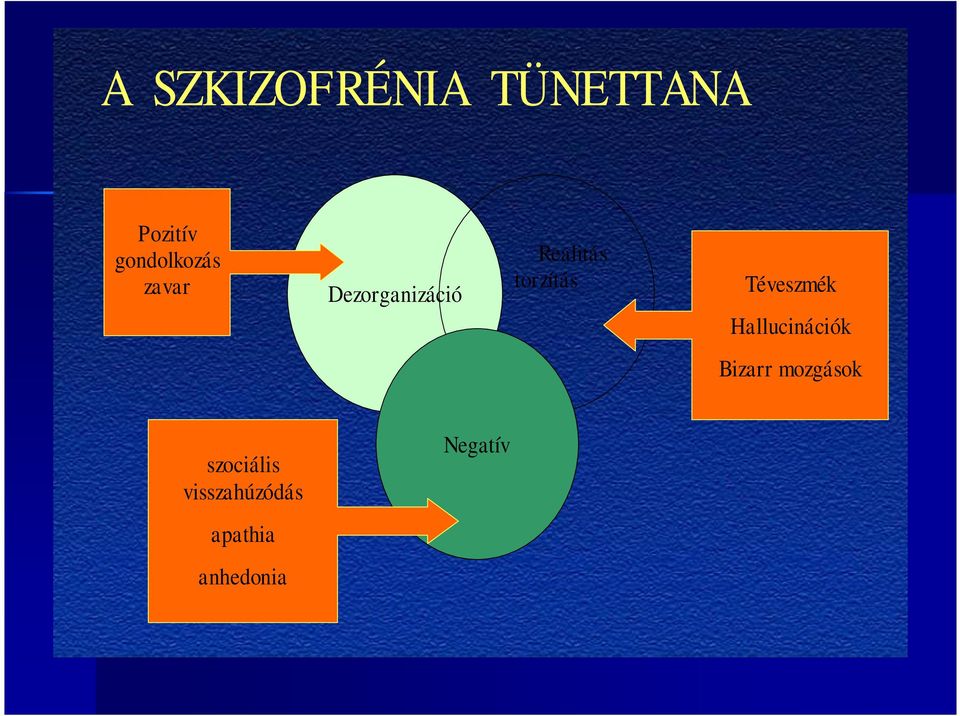 torzítás Téveszmék Hallucinációk Bizarr