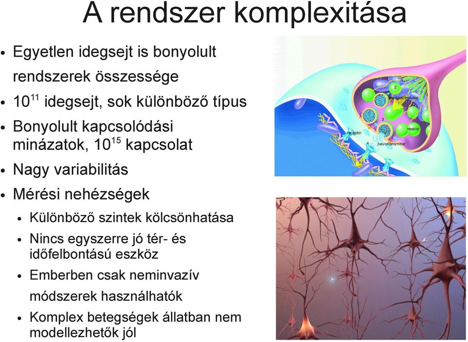 nehézségek Különböző szintek kölcsönhatása Nincs egyszerre jó tér- és időfelbontású eszköz