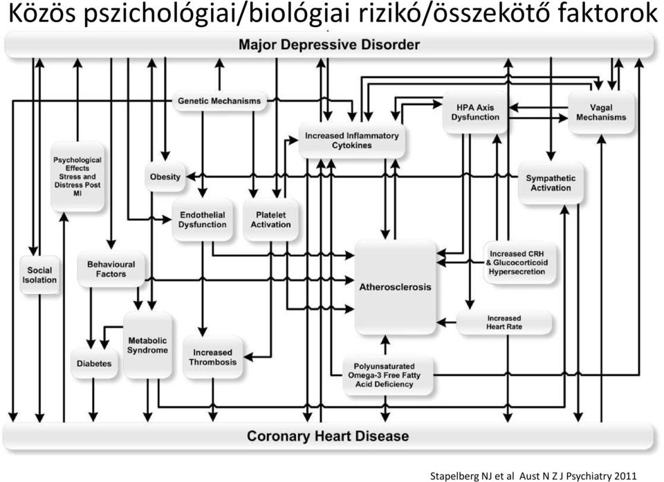 rizikó/összekötő faktorok