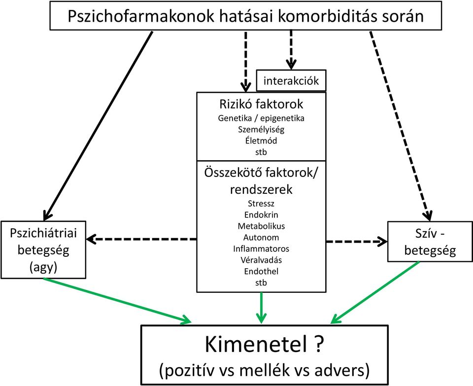 Összekötő faktorok/ rendszerek Stressz Endokrin Metabolikus Autonom