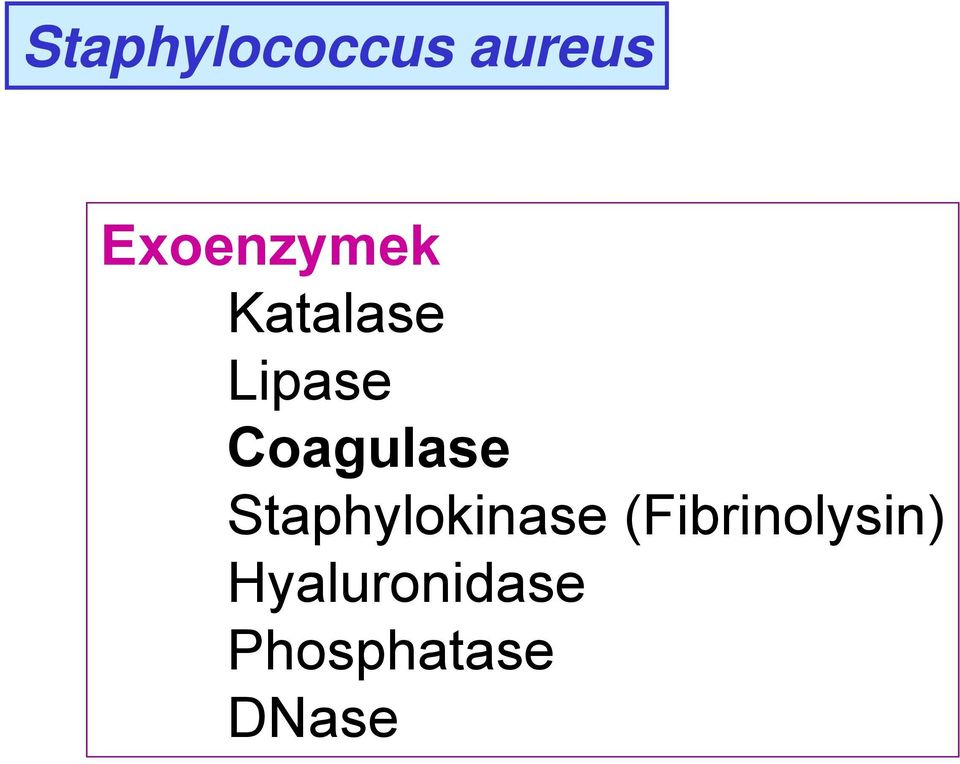 Coagulase Staphylokinase