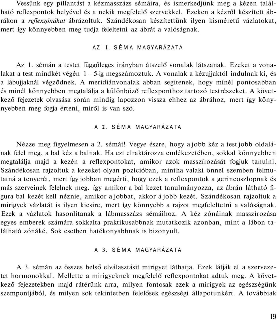 sémán a testet függőleges irányban átszelő vonalak látszanak. Ezeket a vonalakat a test mindkét végén 1 5-ig megszámoztuk. A vonalak a kézujjaktól indulnak ki, és a lábujjaknál végződnek.