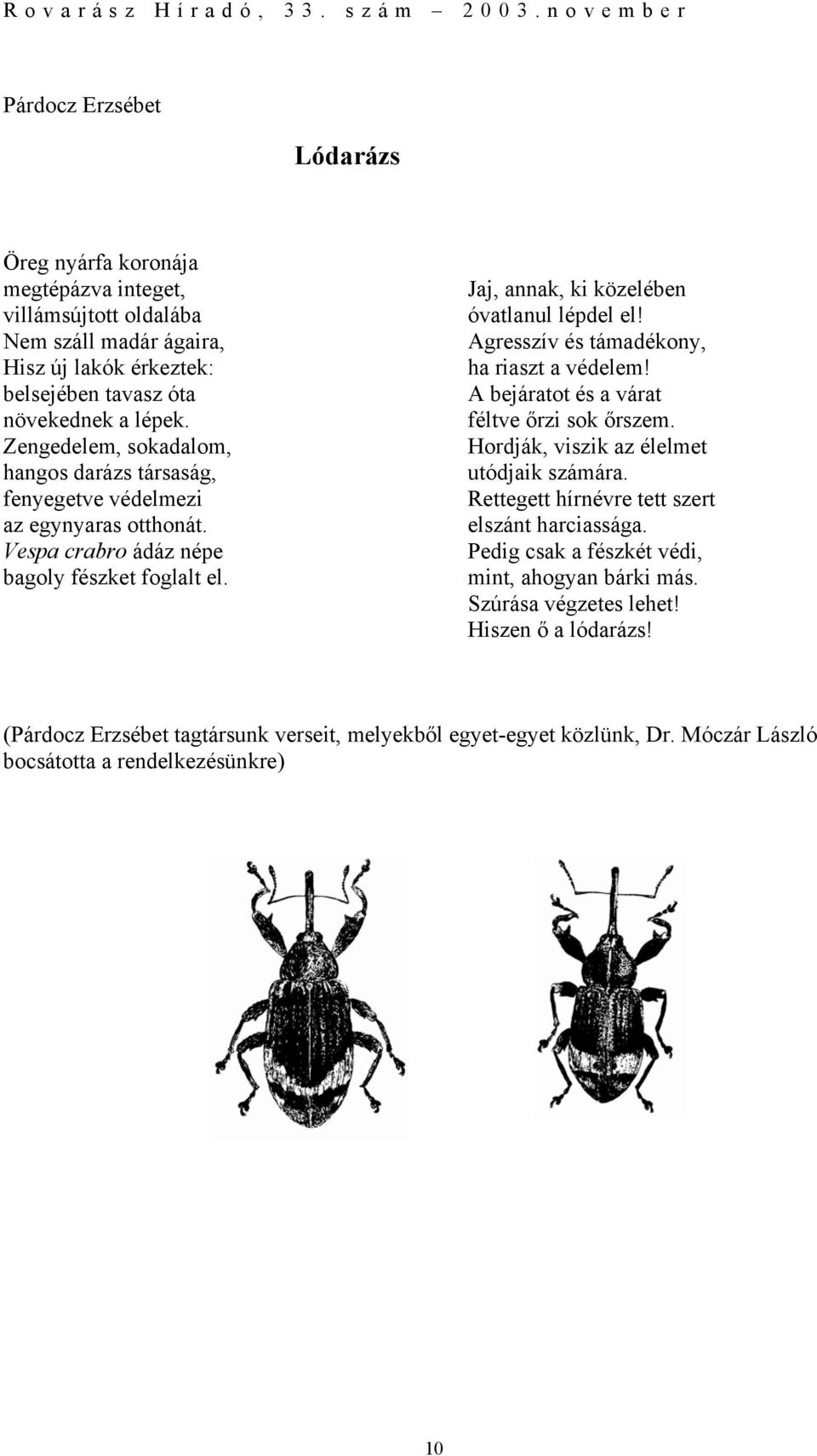 Agresszív és támadékony, ha riaszt a védelem! A bejáratot és a várat féltve őrzi sok őrszem. Hordják, viszik az élelmet utódjaik számára. Rettegett hírnévre tett szert elszánt harciassága.