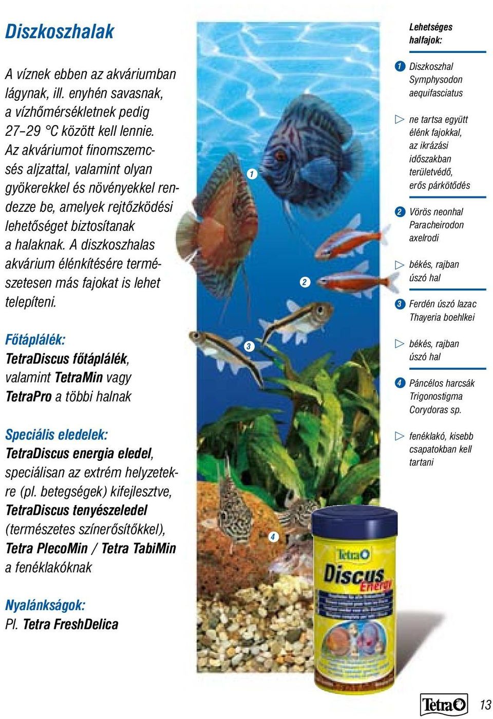 A diszkoszhalas akvárium élénkítésére természetesen más fajokat is lehet telepíteni.
