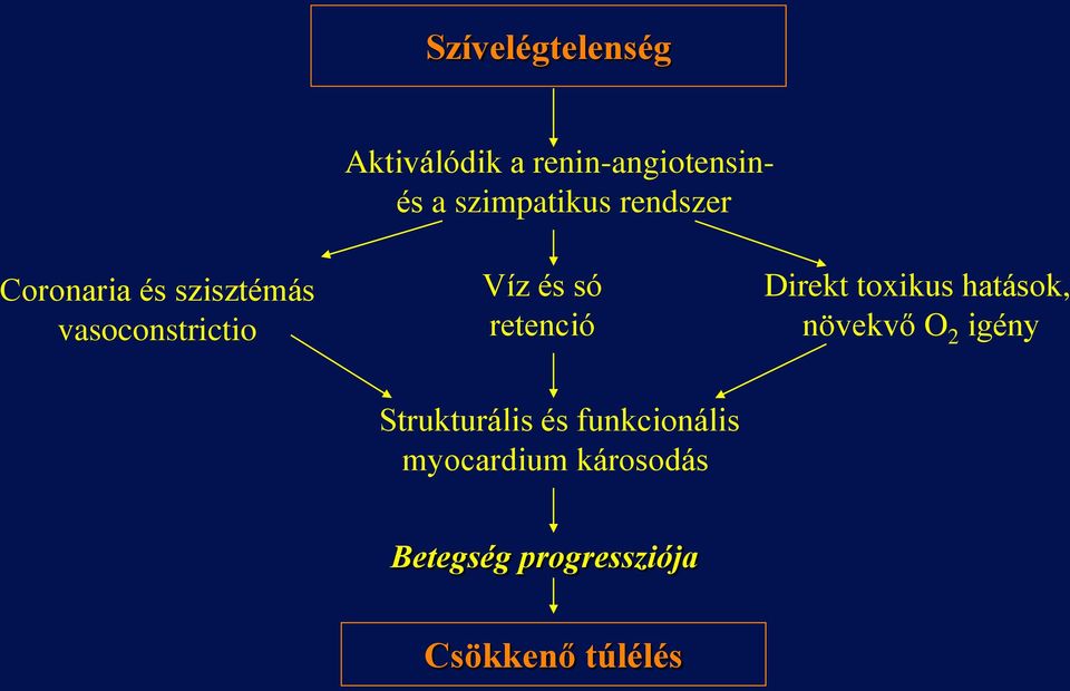 retenció Direkt toxikus hatások, növekvő O 2 igény Strukturális