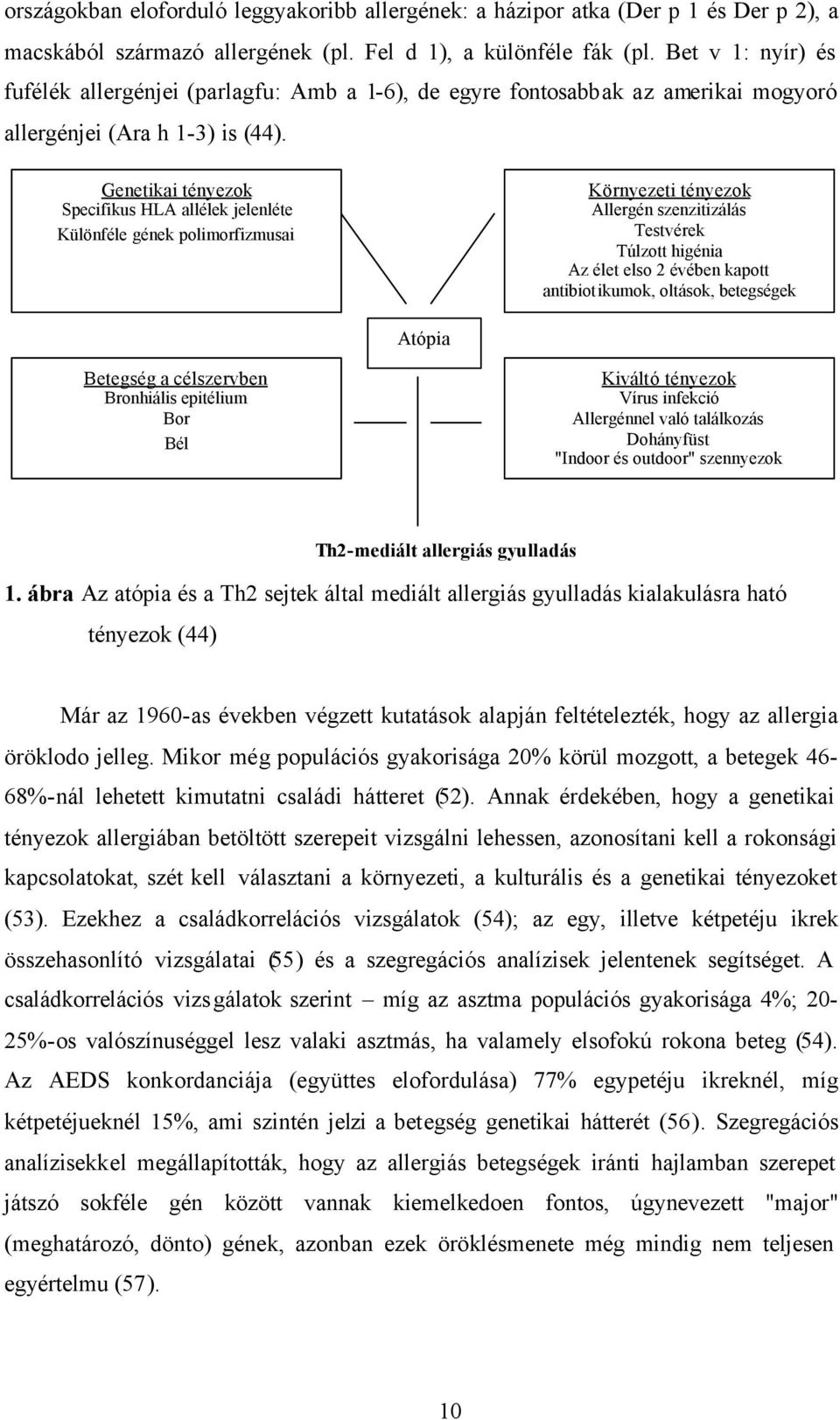 Genetikai tényezok Specifikus HLA allélek jelenléte Különféle gének polimorfizmusai Környezeti tényezok Allergén szenzitizálás Testvérek Túlzott higénia Az élet elso 2 évében kapott antibiotikumok,