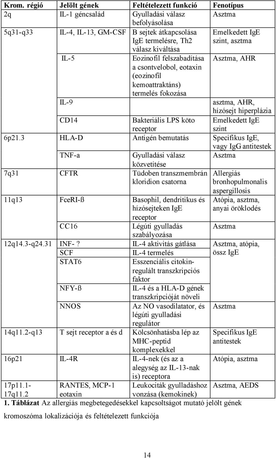 31 Emelkedett IgE szint, asztma Asztma, AHR IL-9 asztma, AHR, hízósejt hiperplázia CD14 Bakteriális LPS köto Emelkedett IgE receptor szint HLA-D Antigén bemutatás Specifikus IgE, vagy IgG antitestek