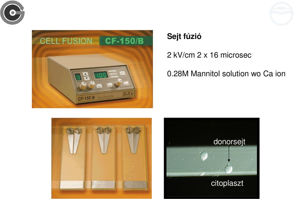 28M Mannitol solution